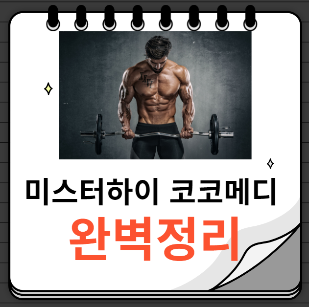 미스터하이 코코메디