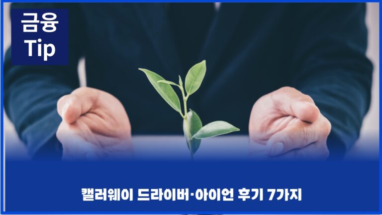 캘러웨이 드라이버·아이언 후기 7가지