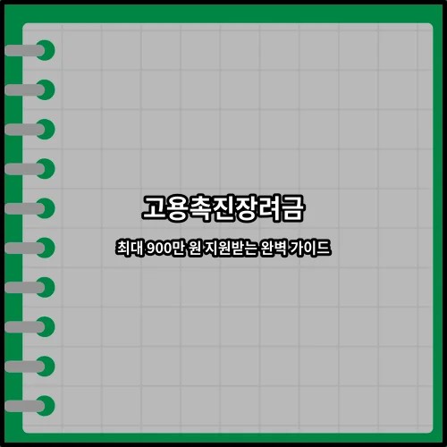 고용촉진장려금 최대 900만 원 지원받는 완벽 가이드