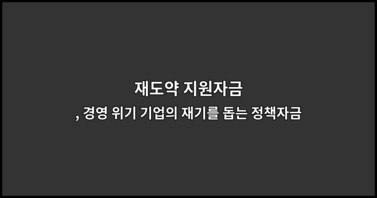 재도약 지원자금 , 경영 위기 기업의 재기를 돕는 정책자금